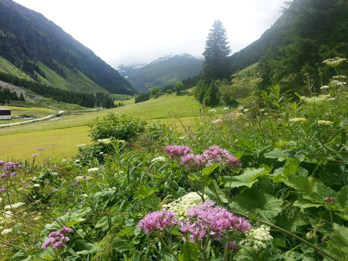 Ski Lift Apartment In บันสโก ห้อง รูปภาพ